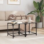 vidaXL Tables basses avec dessus en verre noir 2 Pièces 40x40x40 cm acier