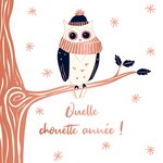 Carte De Vœux Etincelle Chouette - Draeger paris