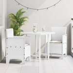 vidaXL Chaises de Jardin 2 Pièces Blanc 53 x 49 x 85 cm Plastique