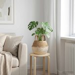 vidaXL Pot de plante avec poignées Blanc Ø 22 x 20 cm