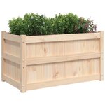 vidaXL Jardinières 2 Pièces bois de pin massif
