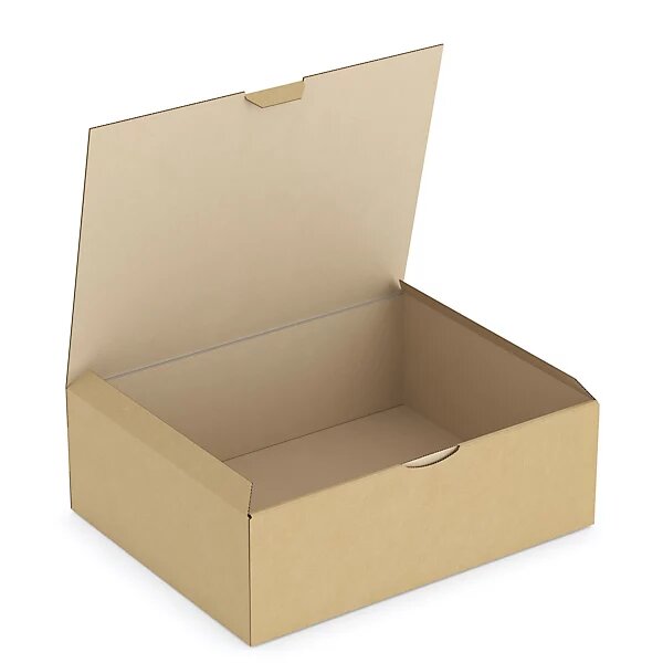 Boîte carton brune d'expédition rajapost 30x24x10 cm (lot de 50)