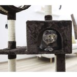 Kerbl Arbre à chat Safari Big 122 cm Marron foncé
