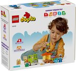 LEGO DUPLO - Apprendre à prendre soin des abeilles et des ruches - 10419