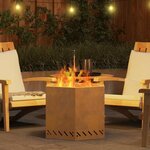 vidaXL Foyer sans fumée Marron 58 x 58 x 51 cm Acier Corten