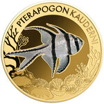 Monnaie MOST FAMOUS CORAL FISH Set 10x1/1000 Oz Or 3000 Francs Chad (PRÉCOMMANDE)