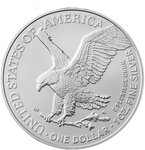 Pièce de monnaie en Argent 1 Dollar g 31.1 (1 oz) Millésime 2026 Seven Sorrows of Mary BURIAL OF JESUS (PRÉCOMMANDE)