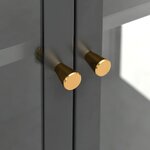 vidaXL Vitrine d'exposition Anthracite 90x40x180 cm Acier/verre trempé