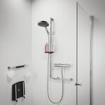Tiger barre d'appui boston 45 cm chrome