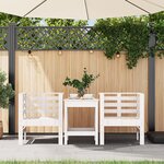vidaXL Chaises de jardin lot de 2 blanc 61 5x53x71 cm bois pin massif