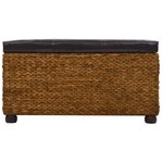 vidaXL Ensemble de banc lot de 2 Jacinthe d'eau Marron