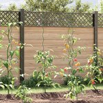 Supports de plantes spiralés vidaXL 50 pièces 170 cm Acier