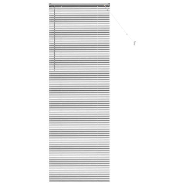 vidaXL Store de Fenêtre avec des rideaux Autre Argenté 80 x 220 cm Aluminium
