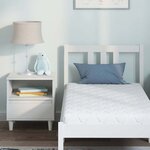 vidaXL Matelas avec Couche de Coco Blanc 160 x 80 cm Mousse PU