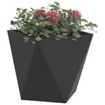 vidaXL Jardinière 2 Pièces Noir 30 x 30 x 30 cm Acier
