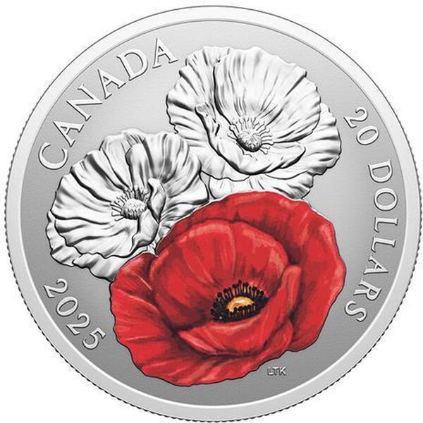 Pièce de monnaie en Argent 20 Dollars g 31.39 Millésime 2025 REMEMBRANCE DAY