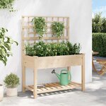 vidaXL Cache-pot de jardin avec étagère Beige 115 x 60.5 x 153 cm