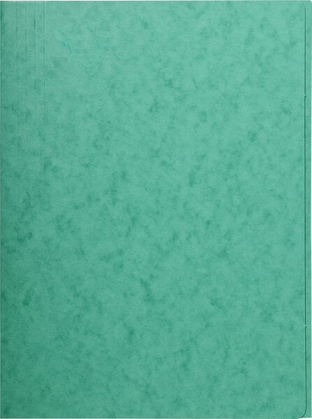 Chemise carte lustrée, A4, vert 24 x 32 cm EXACOMPTA