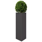 vidaXL Jardinières 2 Pièces noir triangulaire 30x26x75 cm acier