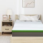 vidaXL Coussins de Matelas Blanc et vert 100 x 200 cm