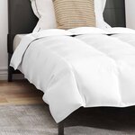 vidaXL Ensemble de Duvet avec oreiller 2 Pièces Blanc 155 x 200 cm Bas