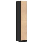 vidaXL Armoire d'apothicaire noir 30x41x174 5 cm bois d'ingénierie