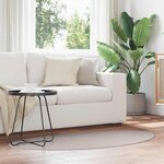 vidaXL Tapis Couleur sable 80 x 150 cm Polyester
