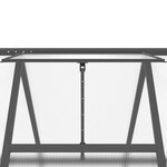 vidaXL Serre avec cadre de base anthracite 334x169x195 cm aluminium