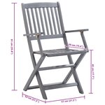 vidaXL Chaises pliables d'extérieur lot de 2 Bois d'acacia solide