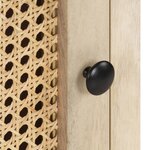 vidaXL Table de chevet 40x30x50 cm Bois de manguier et canne naturelle