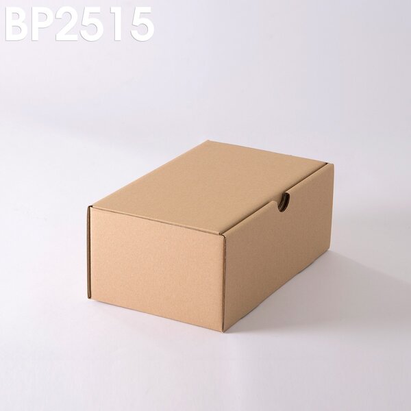 Lot de 50 Boîtes postales brunes 250x150x100 mm