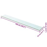 vidaXL Panneaux d'étagère 2 Pièces Verre Transparent 100 x 12 cm