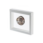 Cadre blanc Nimbus 230 pour objets de collections.