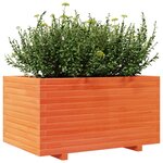 vidaXL Jardinière cire marron 90x60x49 5 cm bois de pin massif