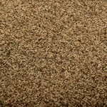 vidaXL Paillasson lavable Marron 60x180 cm