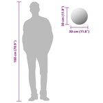 vidaXL Miroir rond sans cadre 30 cm Verre