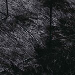 vidaXL Tapis shaggy à poils longs NAVARRA noir 240x340 cm polyester