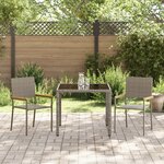 Ensemble de Salle à Manger de Jardin vidaXL 3 Pièces Gris Poly Rattan