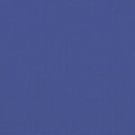 vidaXL Auvent latéral rétractable bleu 120x1000 cm