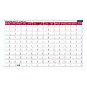 Planning perpétuel annuel - effaçable à sec - 60 x 99 cm - cbg