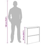 vidaXL Armoire à chaussures et miroir 2 niveaux Gris béton 63x17x67 cm