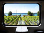 SMARTBOX - Coffret Cadeau L'Europe en train : pass Interrail de 7 jours -  Sport & Aventure
