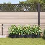 vidaXL Pots de jardin Noir 160 x 40 x 22 cm Acier