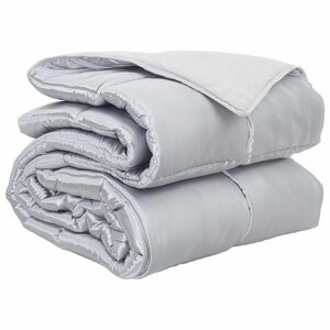 vidaXL Duvet complet toute l'année Argenté 220 x 135 cm