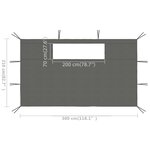 vidaXL Parois latérales de belvédère avec fenêtres 2 Pièces Anthracite