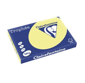 Ramette 250 Feuilles Papier 120g A3 420x297 mm JONQUILLE TROPHÉE