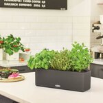 LECHUZA Jardinière CUBE color triple avec supports Anthracite 13684