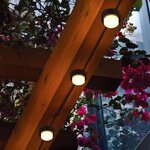 10 mini-spots lumineux solaires à piquer SOLIRAY - 12 m - LED blanc chaud - Balisage allée