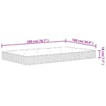vidaXL Matelas à ressorts bonnell moyen 100x200 cm