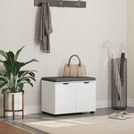 vidaXL Banc d'entrée avec coussin avec stockage Blanc 60 x 38 x 46 cm